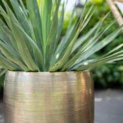 Pflanzgefäß 'Rowen', Gold, Ø 42 X H 41 Cm 12 Pflanzgefäß 'Rowen', Gold, Ø 42 X H 41 Cm -Gartenbedarf 3210801622 Pflanzgefaess Rowen gold D 42 x H 41 cm 2 114989