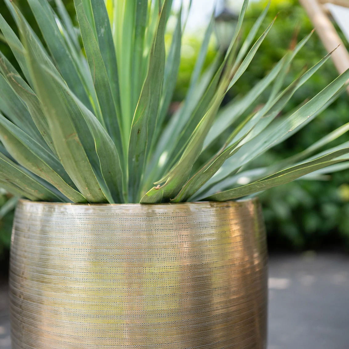 Pflanzgefäß 'Rowen', Gold, Ø 42 X H 41 Cm 6 Pflanzgefäß 'Rowen', Gold, Ø 42 X H 41 Cm – Bild 4