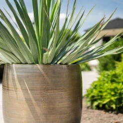 Pflanzgefäß 'Rowen', Gold, Ø 42 X H 41 Cm 11 Pflanzgefäß 'Rowen', Gold, Ø 42 X H 41 Cm -Gartenbedarf 3210801622 Pflanzgefaess Rowen gold D 42 x H 41 cm 4 114991