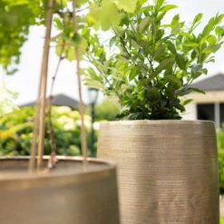 Pflanzgefäß 'Rowen', Gold, Ø 41 X H 72 Cm -Gartenbedarf 3210801630 3210801631 3210801632 3210801633 Pflanzgefaess Rowen gold 2 115015