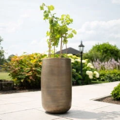 Pflanzgefäß 'Rowen', Gold, Ø 41 X H 72 Cm -Gartenbedarf 3210801630 3210801631 3210801632 3210801633 Pflanzgefaess Rowen gold 5 115018