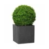 Pflanztrog IQ Dutch Spencer, Schwarz, Frostfest Bis - 40 °C, Stabil, 100% Recycelbar 2 Pflanztrog IQ Dutch Spencer, Schwarz, Frostfest Bis - 40 °C, Stabil, 100% Recycelbar -Gartenbedarf 3230101068 3230101069 3230101070 3230101071 Pflanztrog iQ Dutch Spencer schwarz4 78735