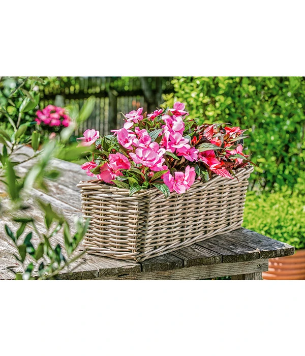 Van Der Leeden Rattan-Pflanzkasten, Graubraun 4 Van Der Leeden Rattan-Pflanzkasten, Graubraun – Bild 2