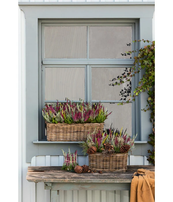 Van Der Leeden Rattan-Pflanzkasten, Graubraun 10 Van Der Leeden Rattan-Pflanzkasten, Graubraun – Bild 8