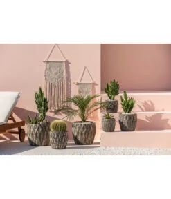 Feigenkaktus - Opuntia Consolea 9 Feigenkaktus - Opuntia Consolea -Gartenbedarf 4432415 PR MO 001 KeramikTopfNero