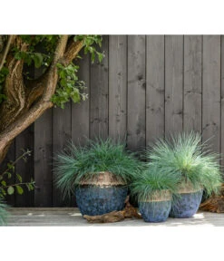 Dehner Keramik-Topf Mystras, Rund, Blau-braun -Gartenbedarf 4441317 4441341 4441408 WE MO 002 DehnerKeramikTopfMystrasrundblaubraun