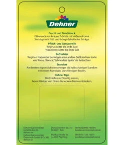 Kirschen-Duo 'Regina/Napoleon' -Gartenbedarf 7738792 Suesskirschen DuoReginaNapoleon Etikett 2