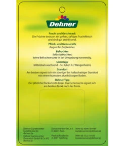 Zwetschge 'Kulinaria-Toptaste' -Gartenbedarf 7763881 ZwetscheKulinariaToptaste Etikett 2