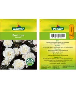 Edelrosen-Mix 'Nostalgie®' -Gartenbedarf 7800063 AlabasterBeetrose Etikett1