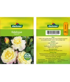 Edelrosen-Mix 'Nostalgie®' -Gartenbedarf 7800063 AquarellEdelrose Etikett1