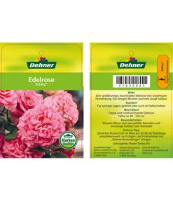 Edelrosen-Mix 'Nostalgie®' -Gartenbedarf 7800063 AshleyEdelrose Etikett1