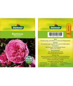 Edelrosen-Mix 'Nostalgie®' -Gartenbedarf 7800063 BaronesseBeetrose Etikett1