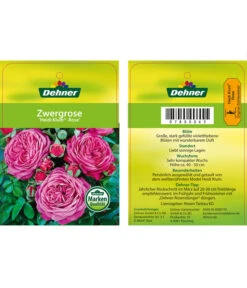 Edelrosen-Mix 'Nostalgie®' -Gartenbedarf 7800063 HeidiKlumZwergrose Etikett1
