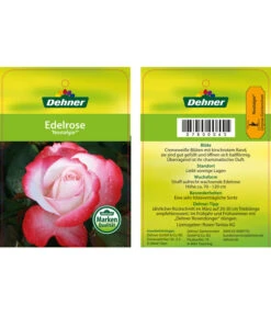 Edelrosen-Mix 'Nostalgie®' -Gartenbedarf 7800063 NostalgieEdelrose Etikett1
