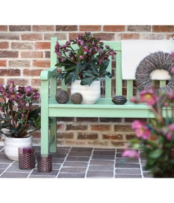 Schneerose 'Ice N' Roses® Red' - Helleborus Gold Collection® 9 Schneerose 'Ice N' Roses® Red' - Helleborus Gold Collection® -Gartenbedarf 8010969 WE MO 001 HelleborusWeinrotDehnerExpressHerzig