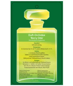 Duft-Traubenorchidee - Dendrobium Kingianum 'Berry' -Gartenbedarf 8250714 DuftorchideeBeryyOdaEtikett2